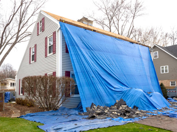 Best Yard Waste Removal  in Verandah, FL